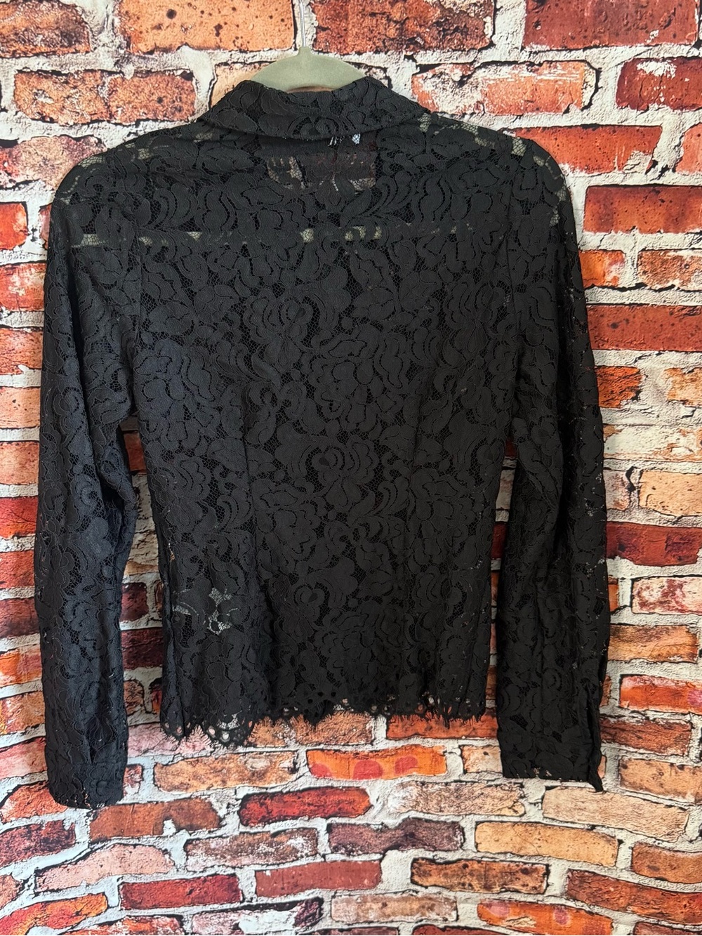 NWT Zara Women’s XS Black Floral Lace Collared Long Sleeve Sheer Blouse Top - Picture 7 of 7